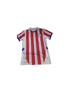 Paraguay Jersey For Man